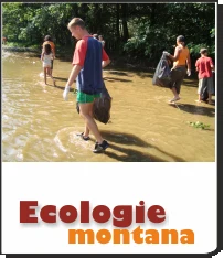 Imagine din arhivă: Acțiuni de ecologizare